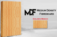GOLDEN BEECH